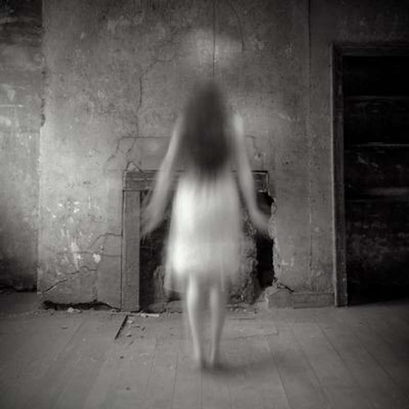 Shannon Pearl