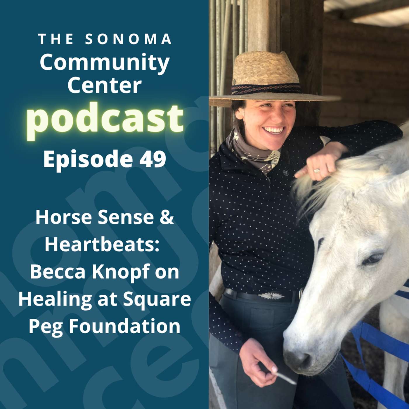 Horse Sense & Heartbeats: Becca Knopf on Healing at Square Peg Foundation