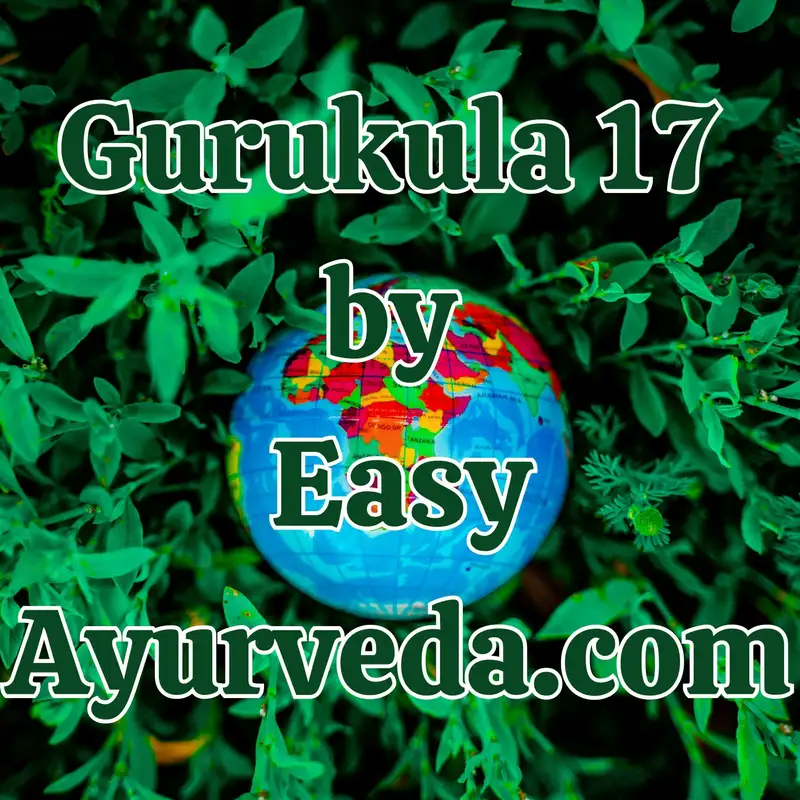 Gurukula 17-"Ayurveda Beyond Borders: Overcoming Challenges in a Global Landscape"