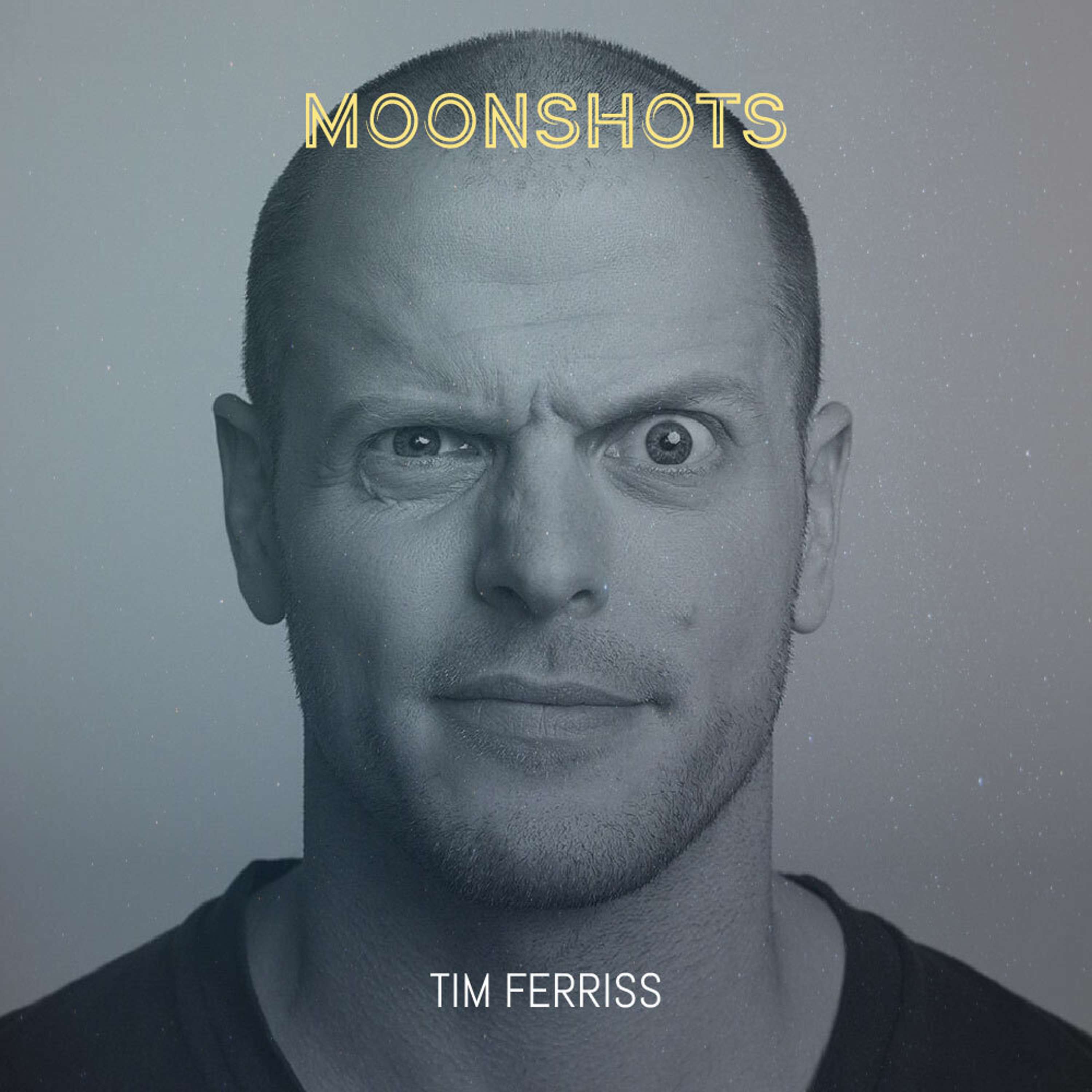 Tim Ferriss: Tribe of Mentors 