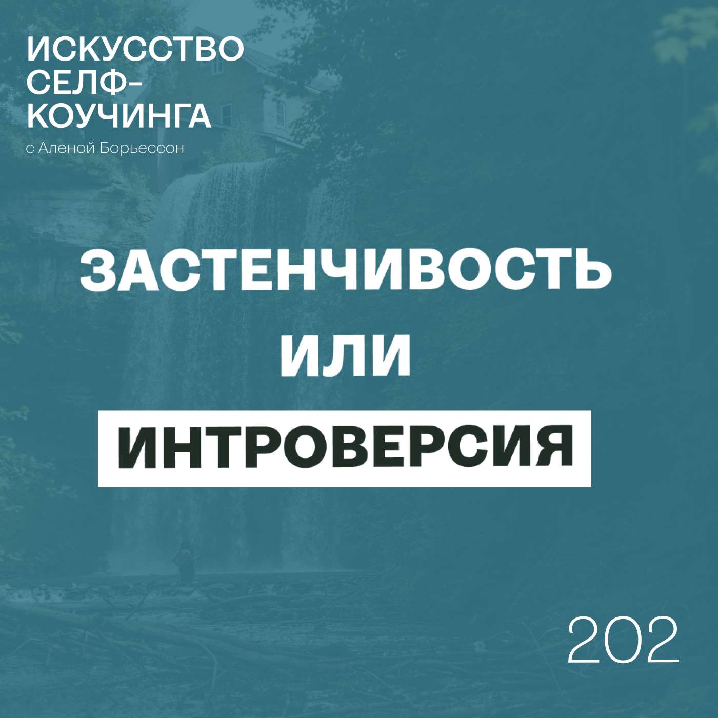 202. Застенчивость или Интроверсия?