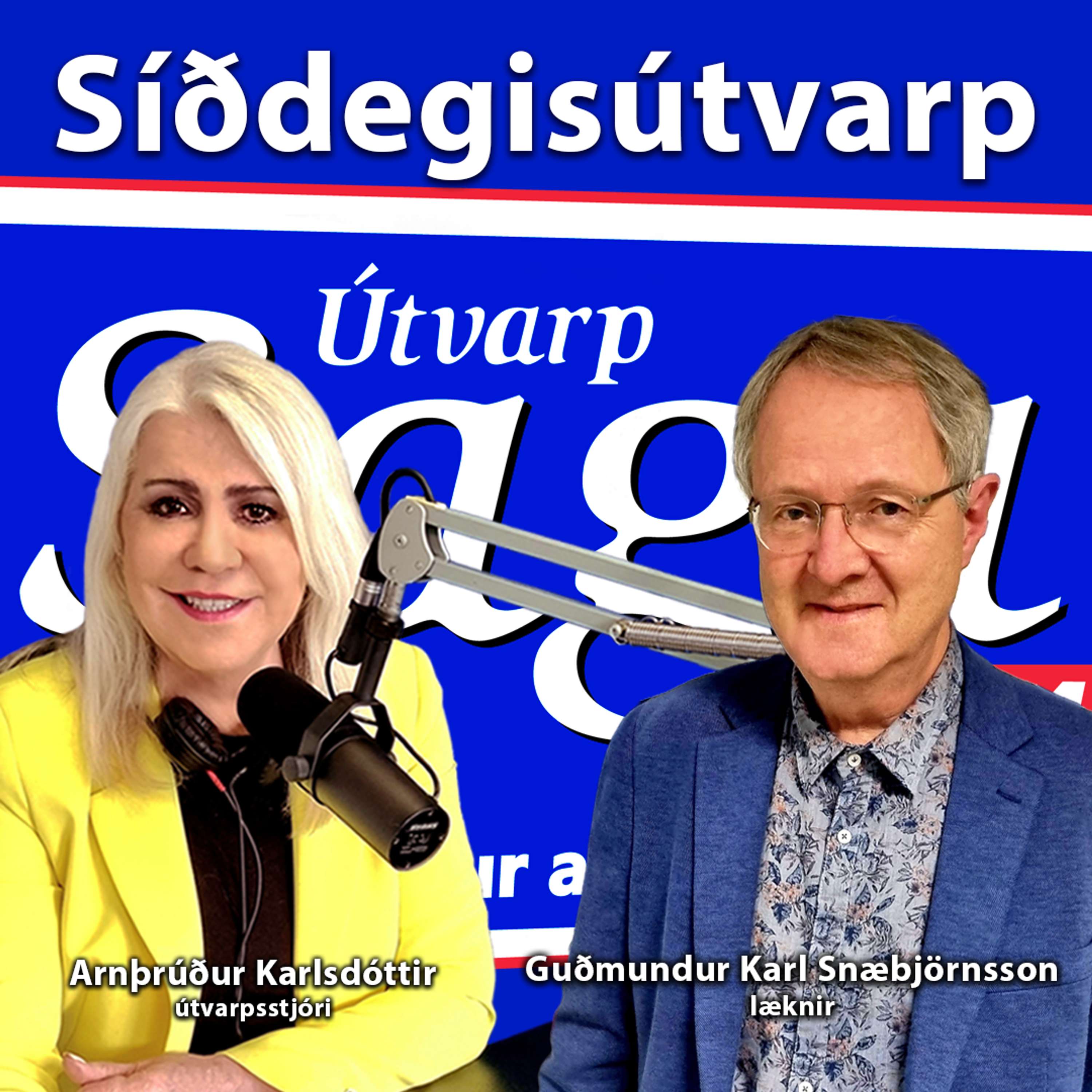 Rannsókn á Covid faraldrinum - Guðmundur Karl Snæbjörnsson