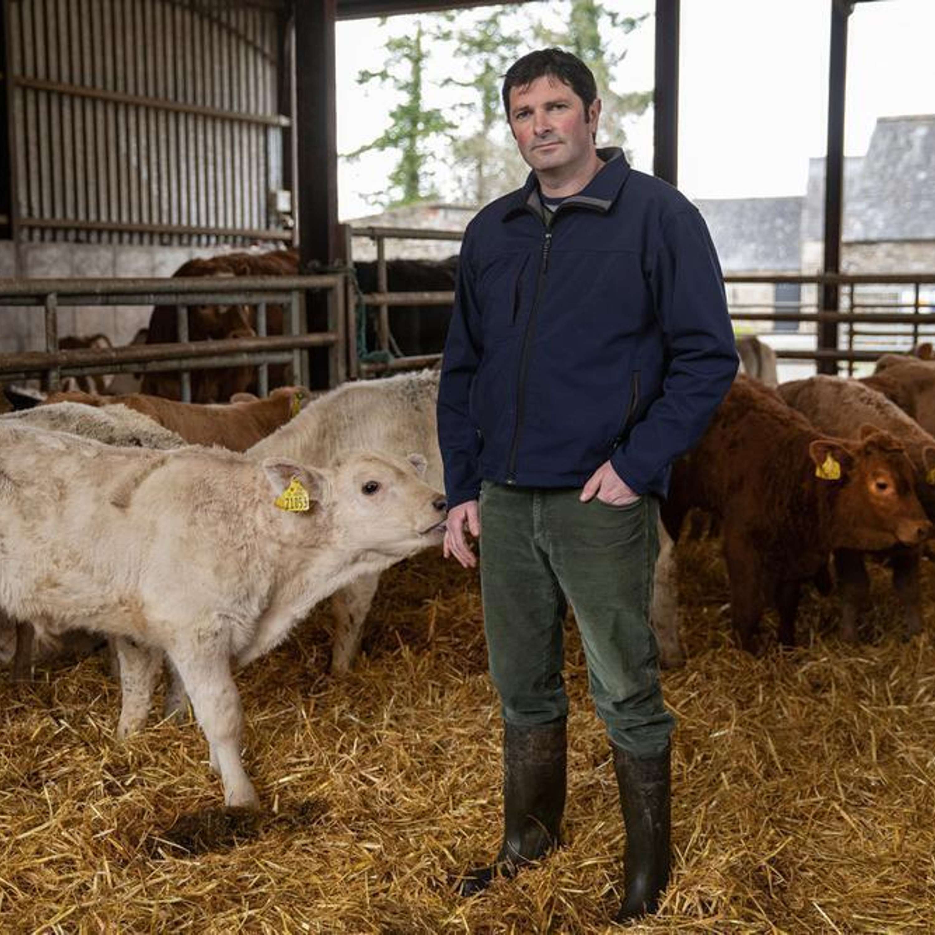 The Beef Edge Masterclass with James Madigan