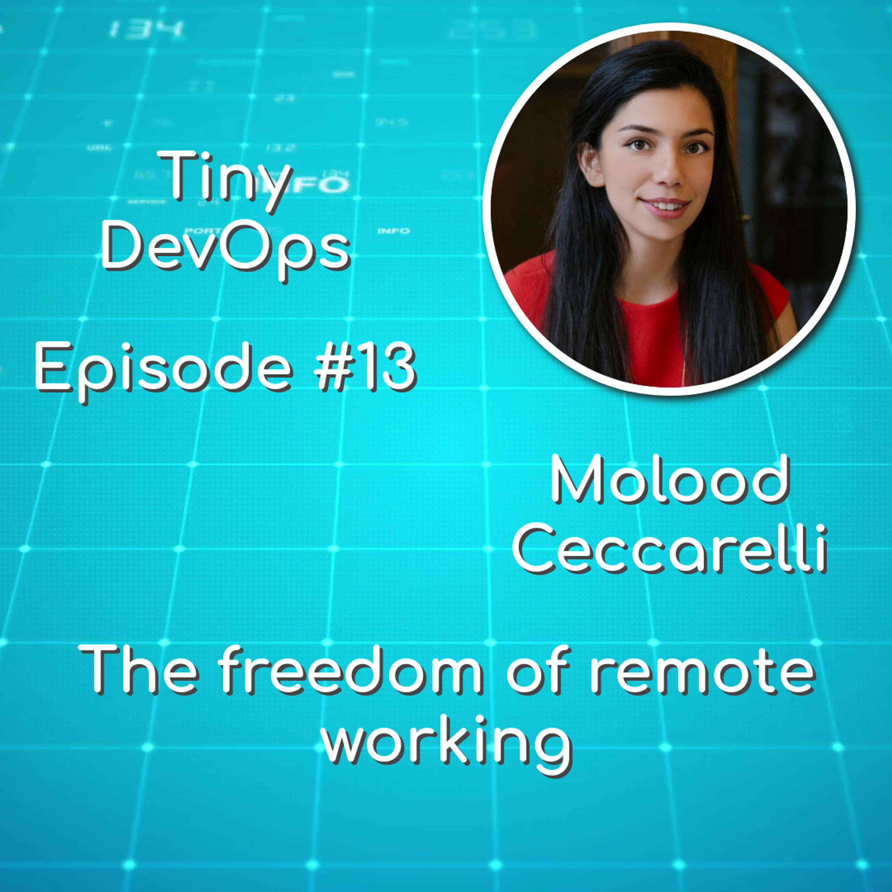 Tiny DevOps