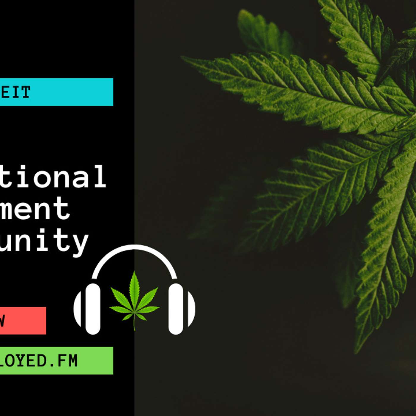 A Generational Investment Opportunity with Aaron Edelheit A Generational Investment Opportunity with Aaron Edelheit