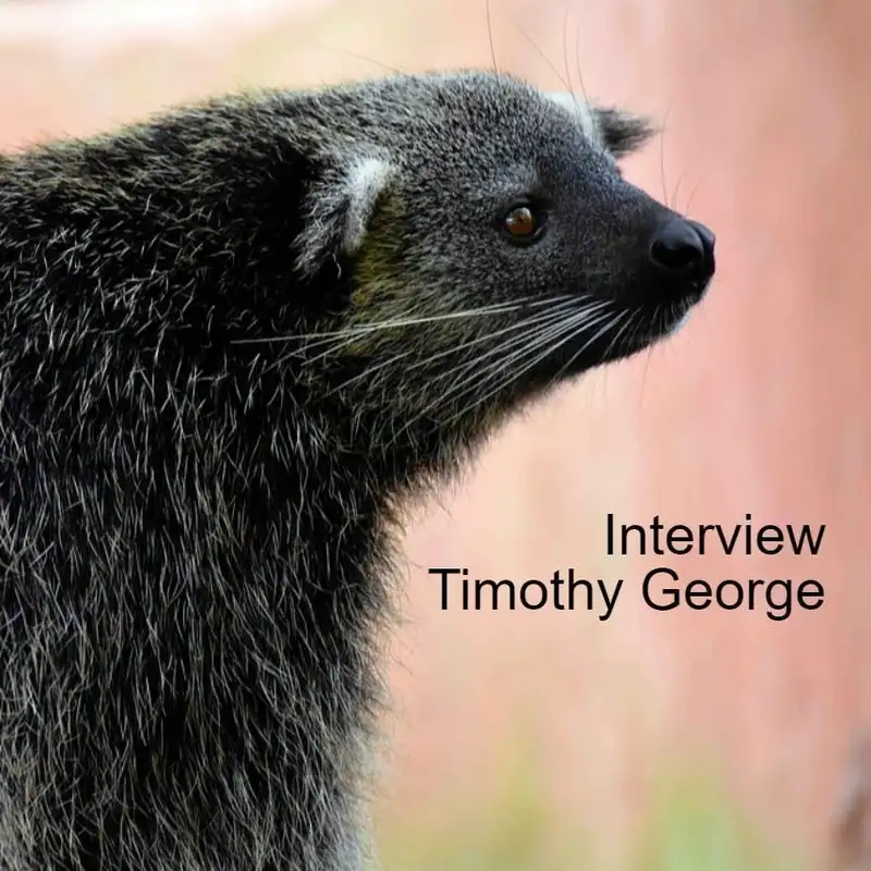 Interview - Timothy George