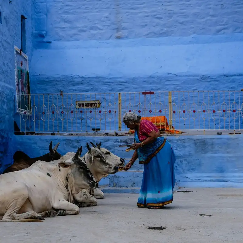 When is the best time to visit India