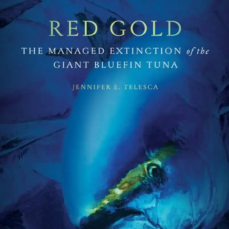 Red Gold: The Managed Extinction of the Giant Bluefin Tuna