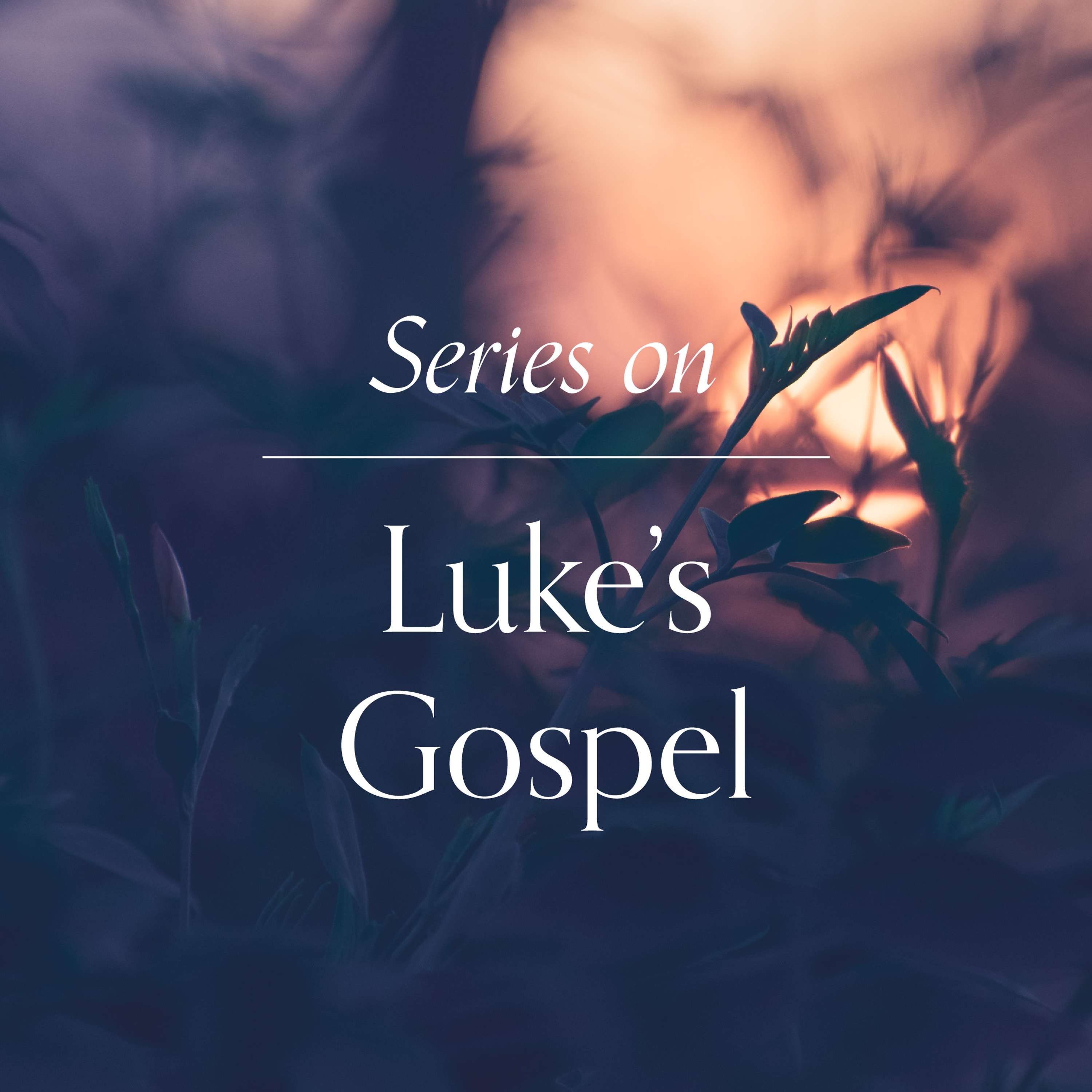 Luke’s Gospel