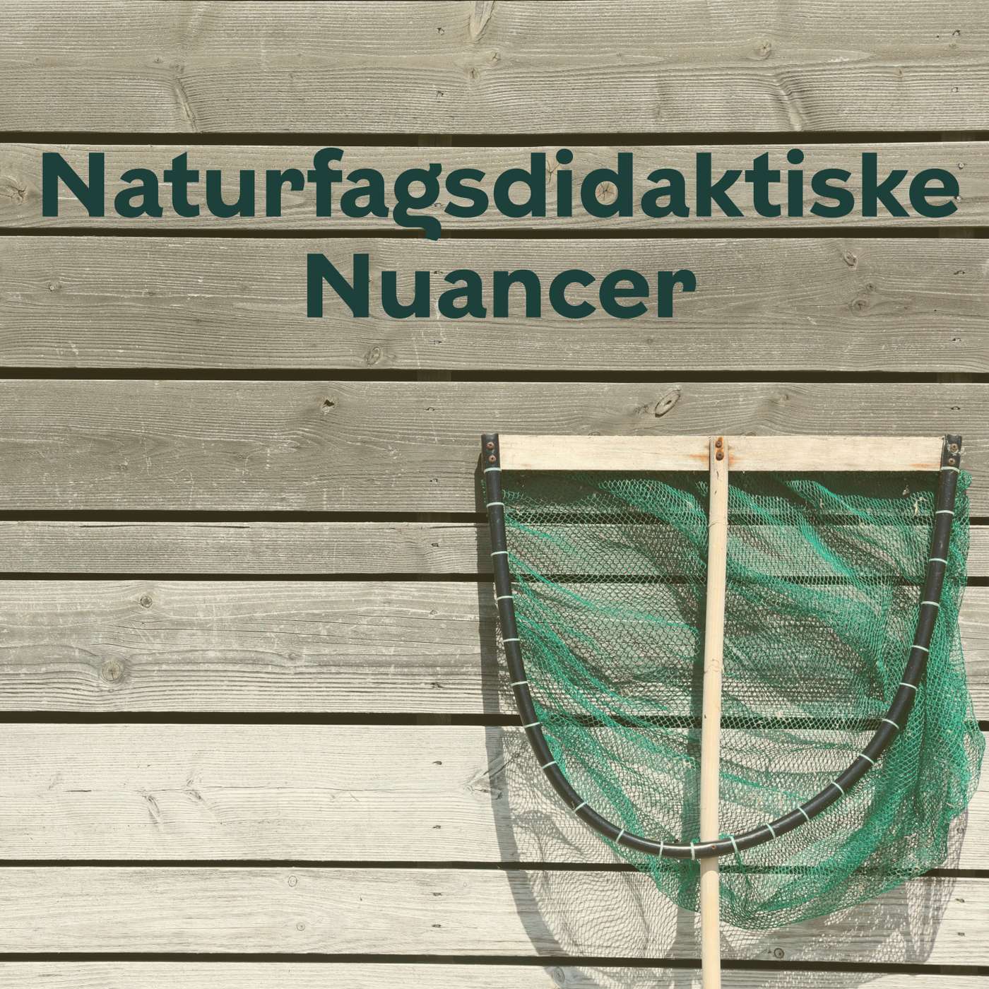 Kompetenceudvikling ekstra - med Bente Guldbrandsen