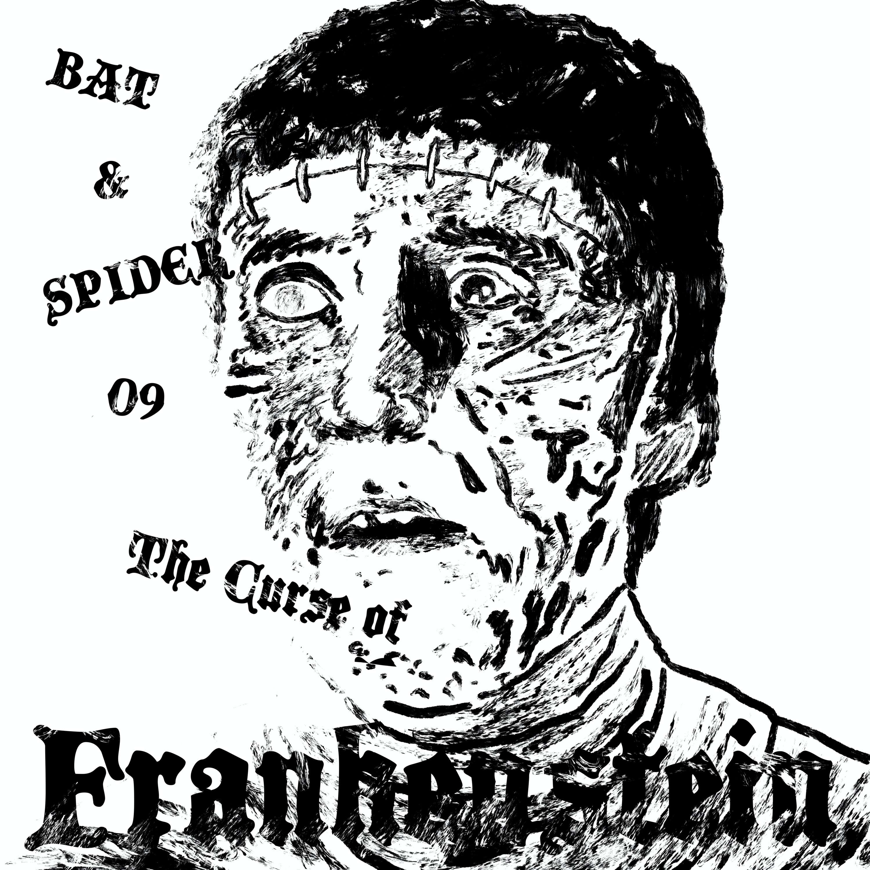 BAT AND SPIDER