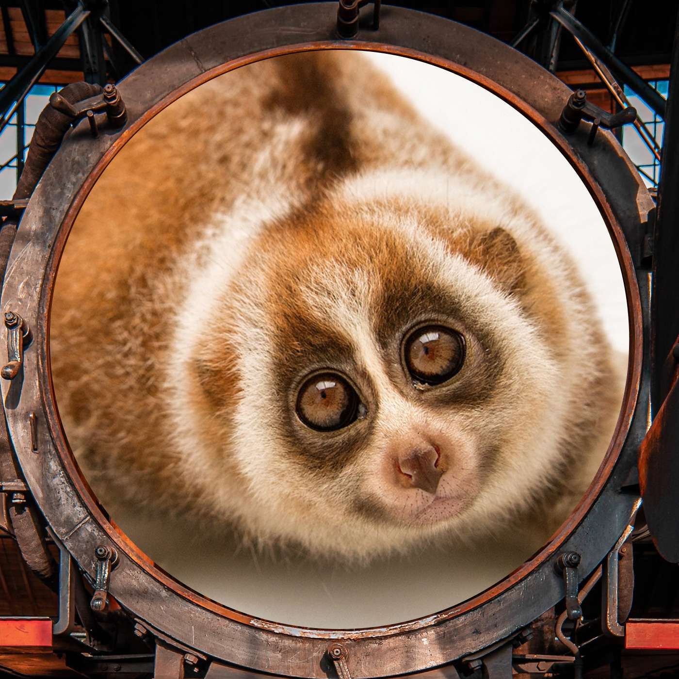 The Machine is Turned On