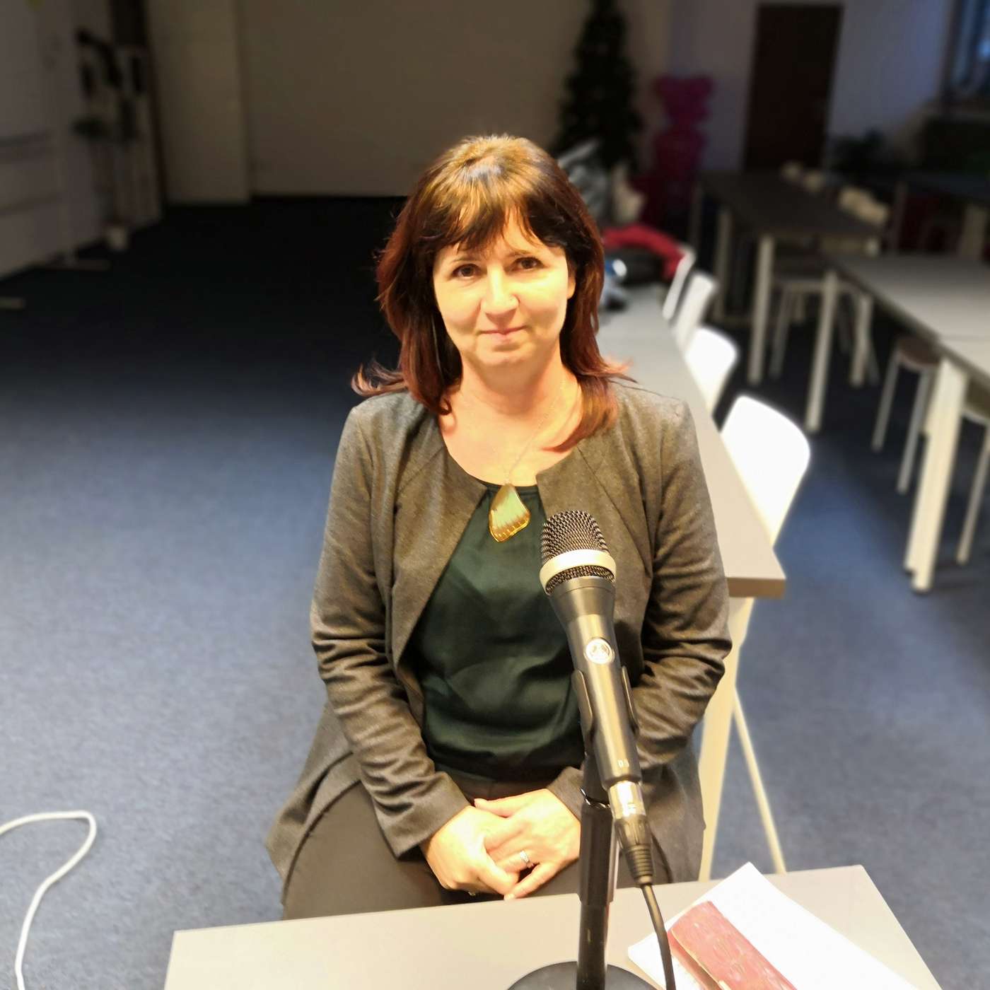 Škola DIGI IN - podcast NPI ČR