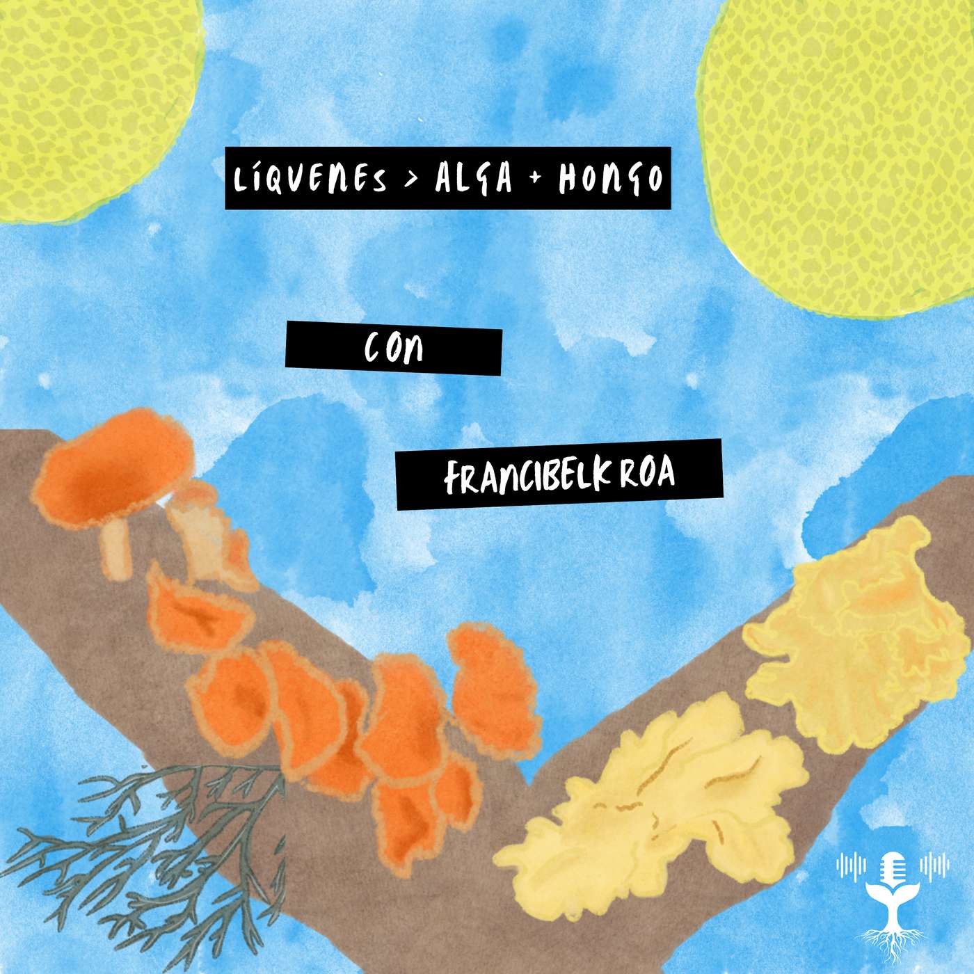 S04E02 - Líquenes > alga + hongo