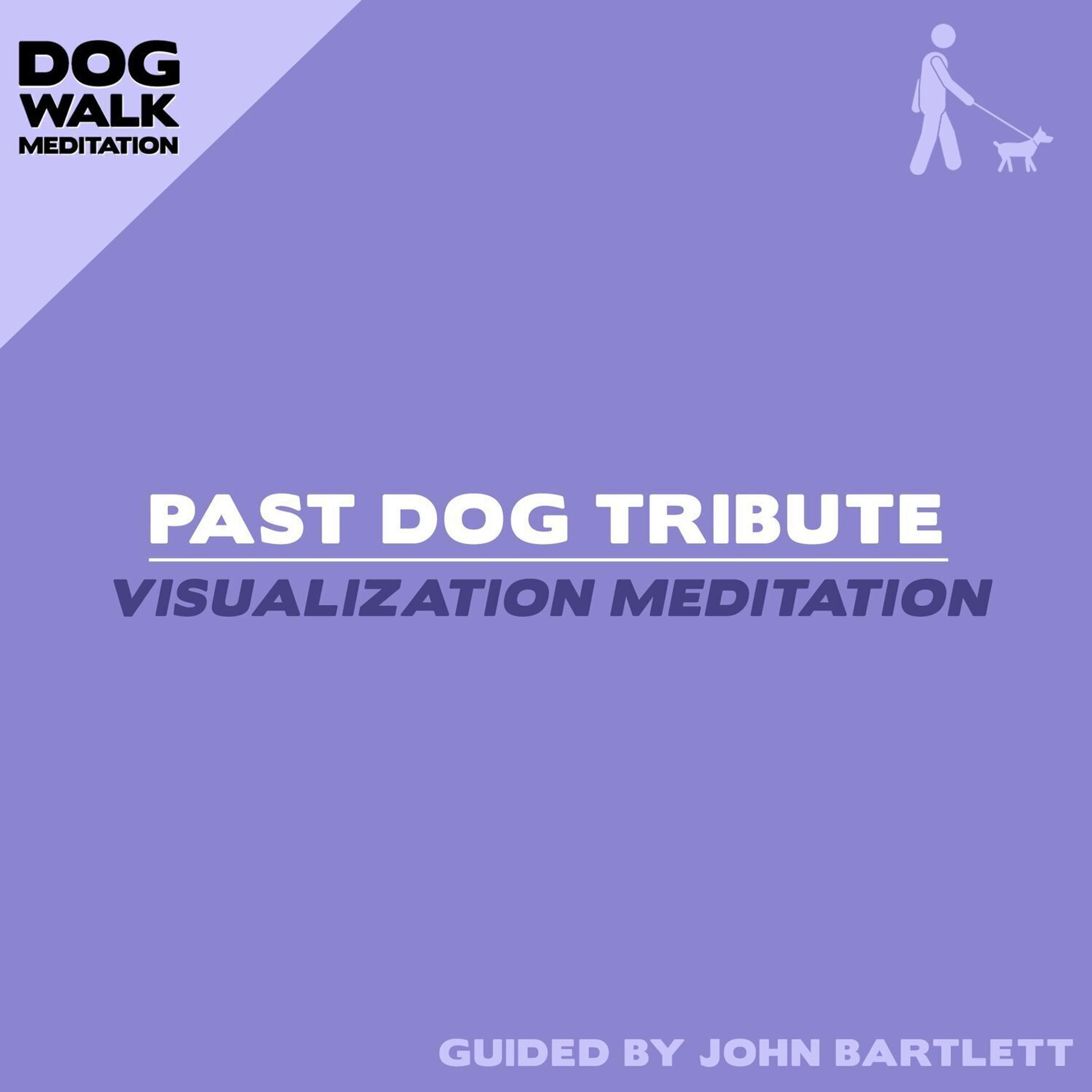 Bonus: Dog Walk Meditation | Past Dog Tribute