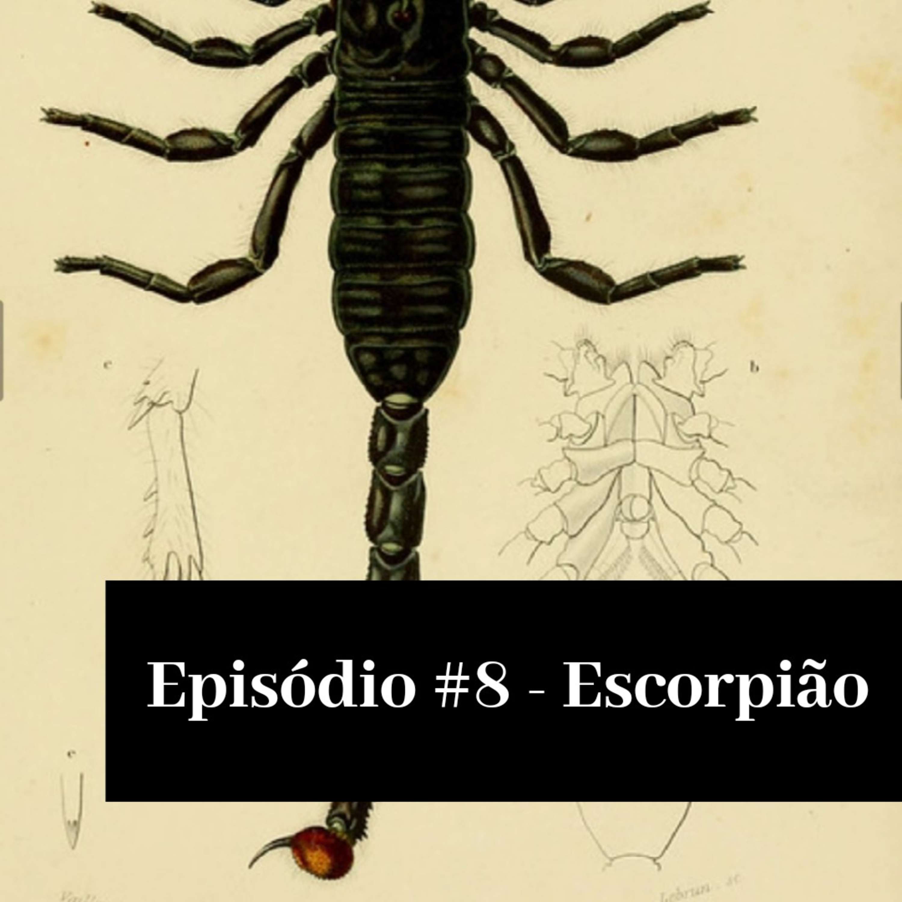 Astrologuês