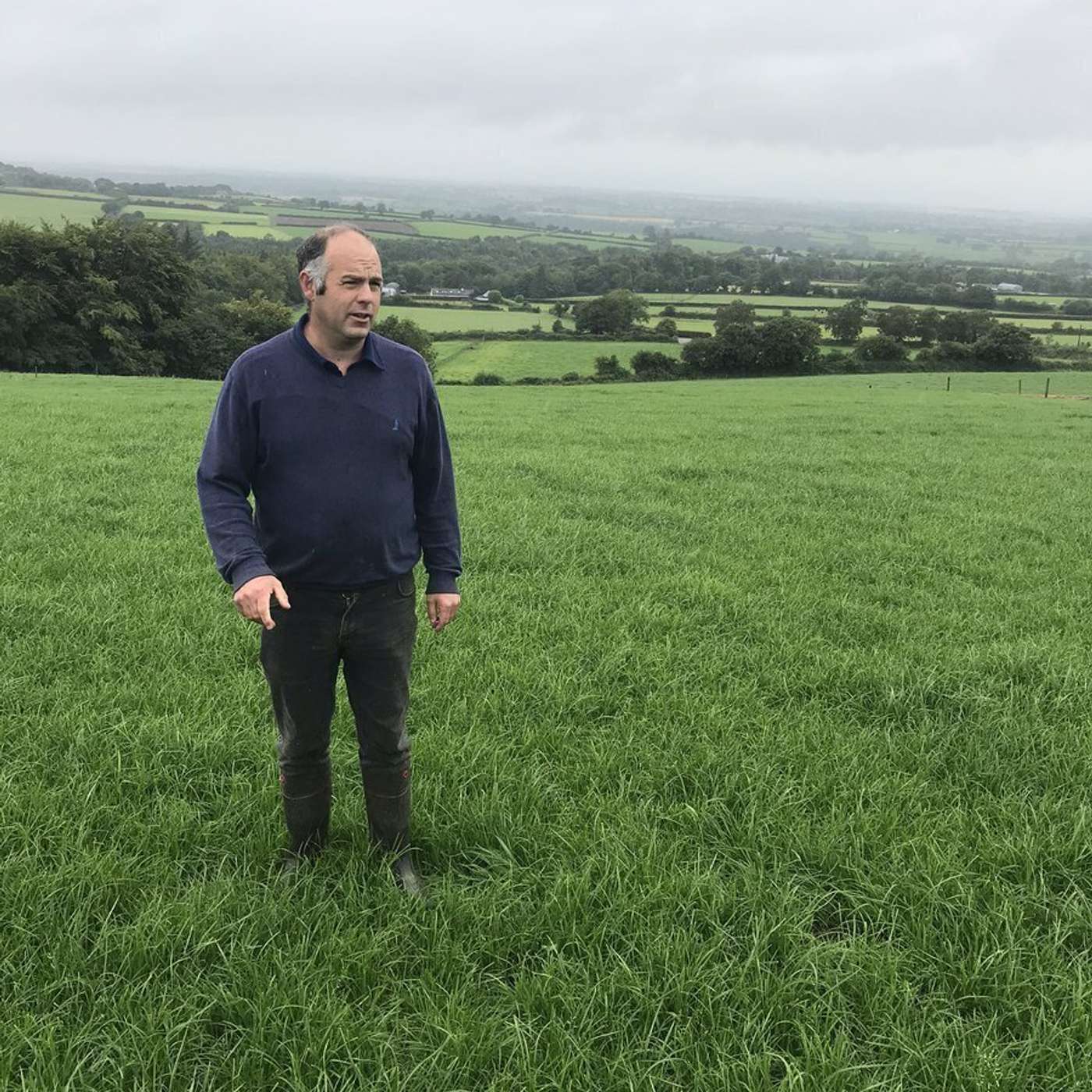The Dairy Edge