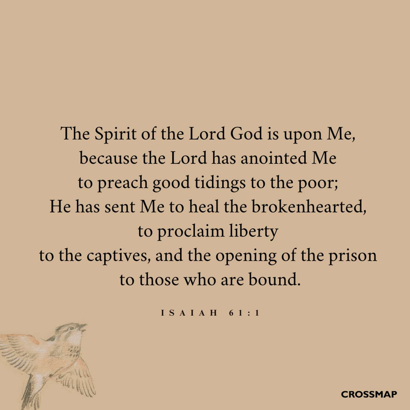 Daybreak Devotions and Nighttime Prayers