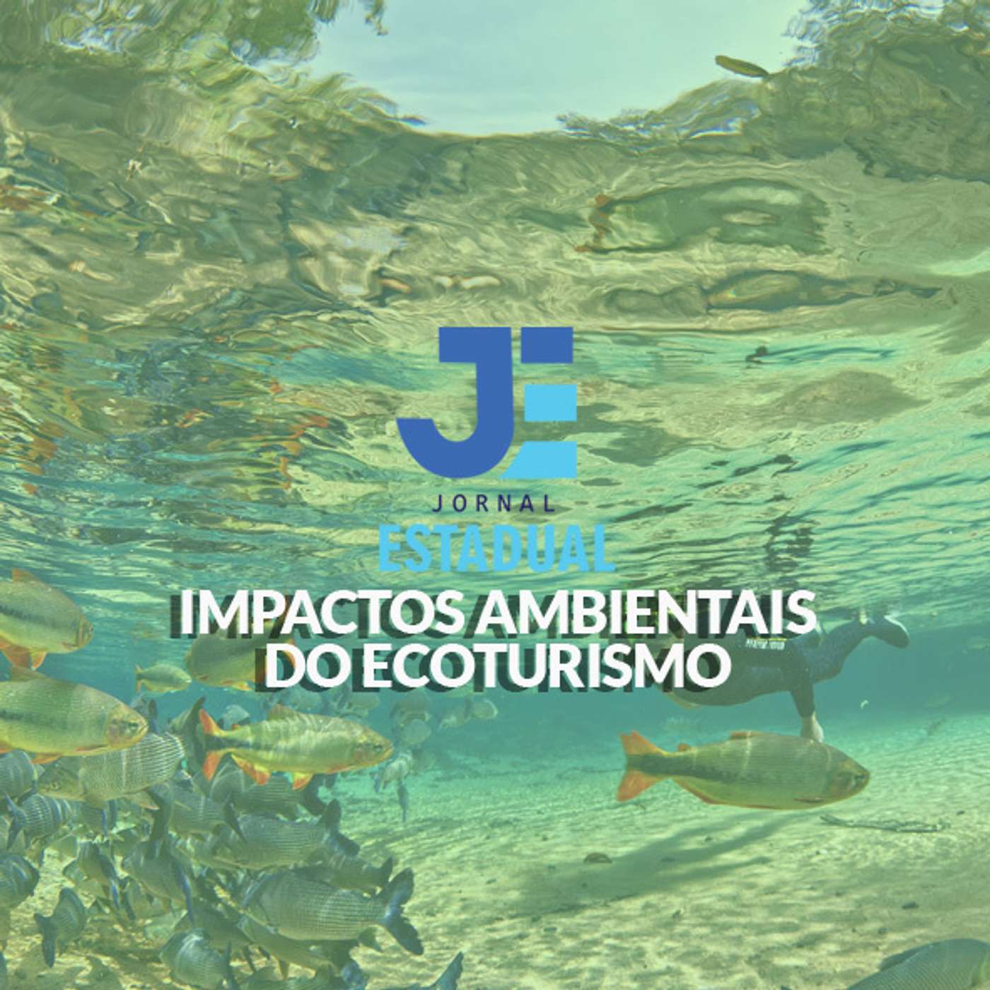 Matéria - Impactos Ambientais do Ecoturismo episode artwork