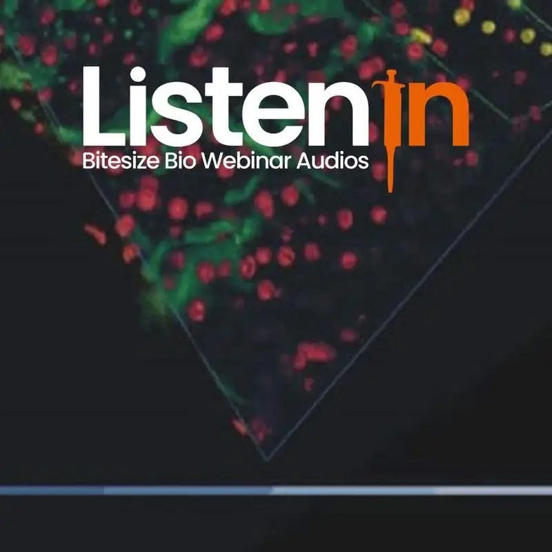 Complete and Fast 3D Image Analysis in Microscopy