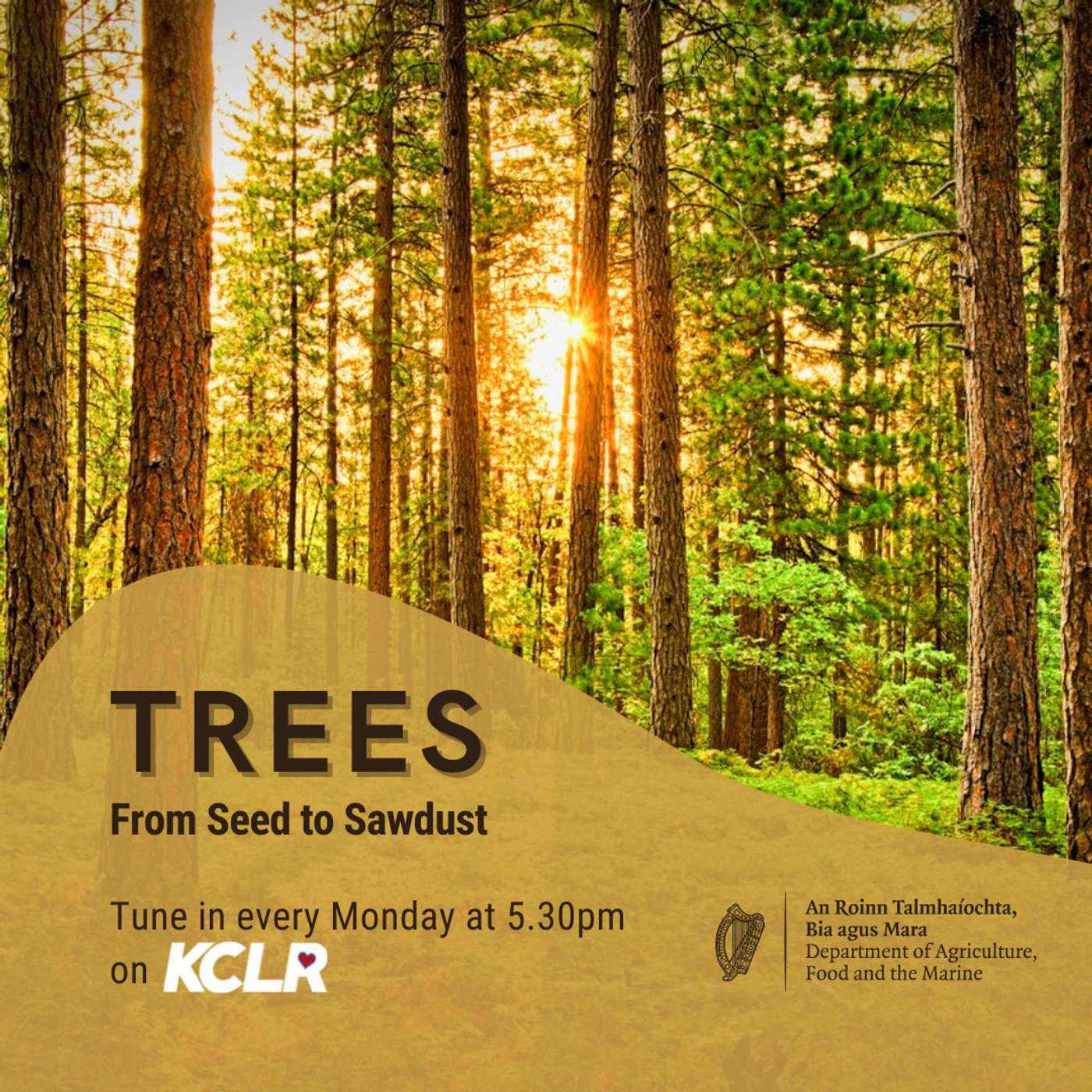 Documentaries on KCLR