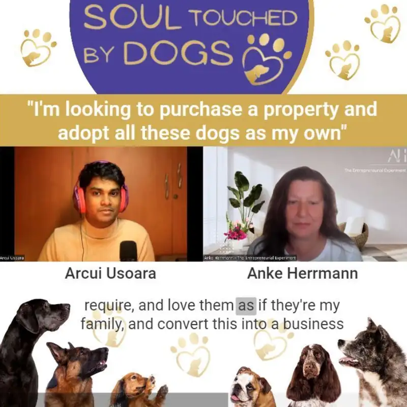 Arcui Usoara - I have a reputation for leaving meetings to rescue a dog