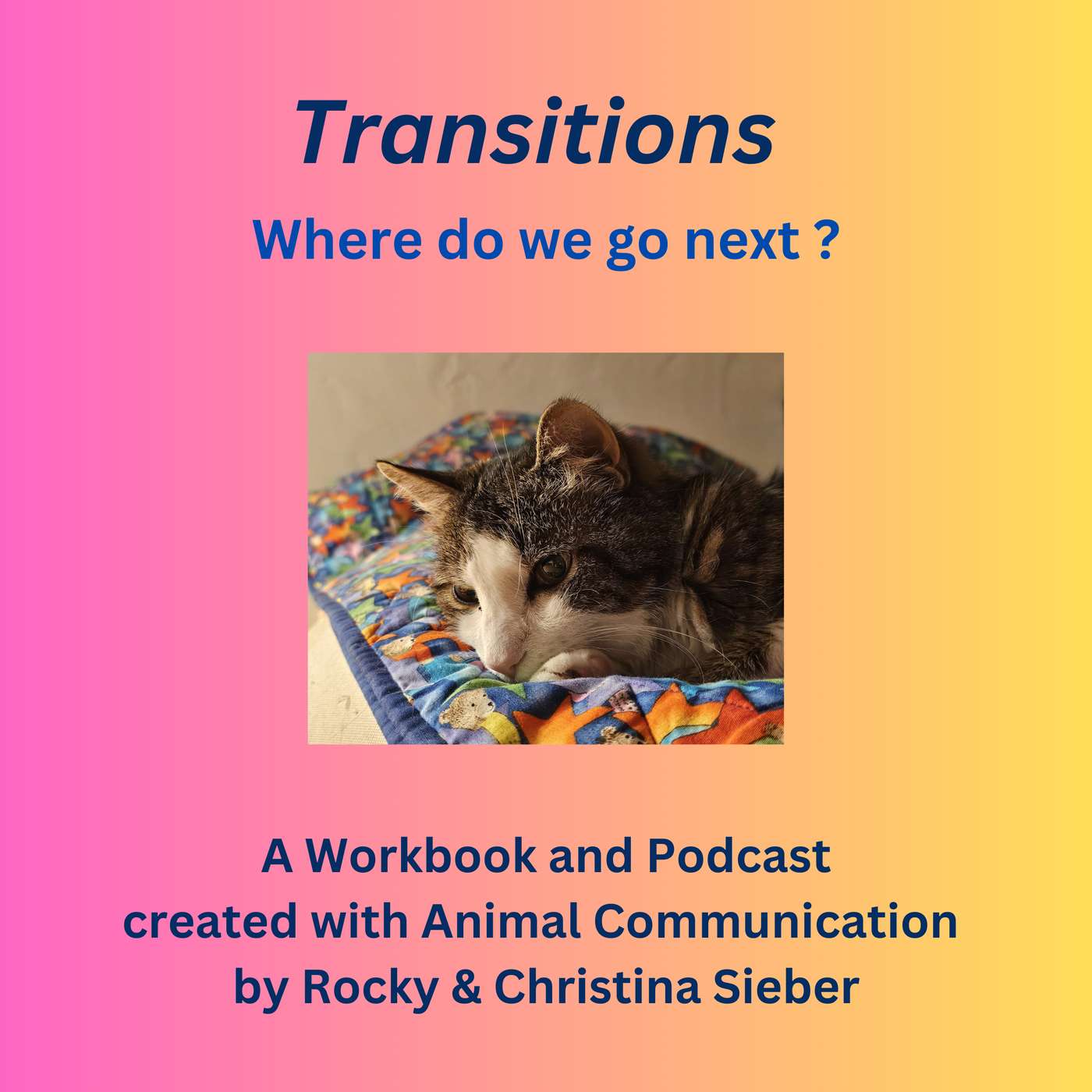 Transitions - Where do we go next ? podcast artwork