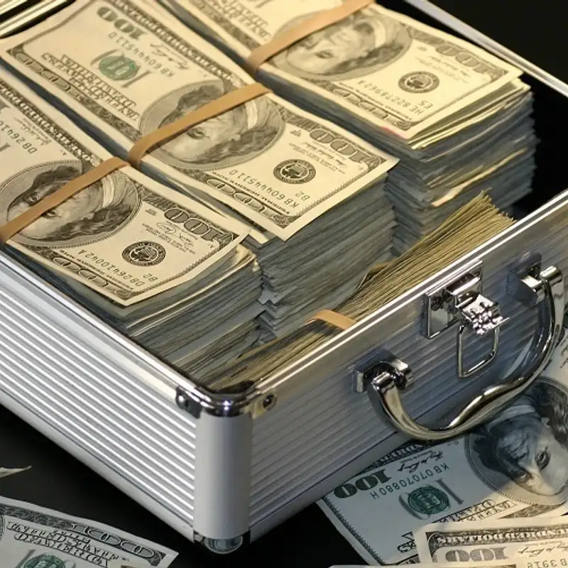 ECONOMIE - L'évasion fiscale, un problème d'une ampleur inégalée