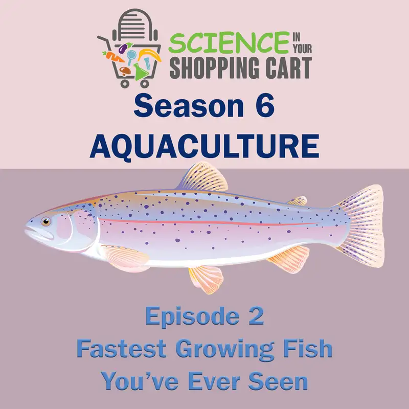 Season 6: Aquaculture | Episode 2: Fastest Growing Fish You've Ever Seen
