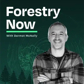 Forestry Now