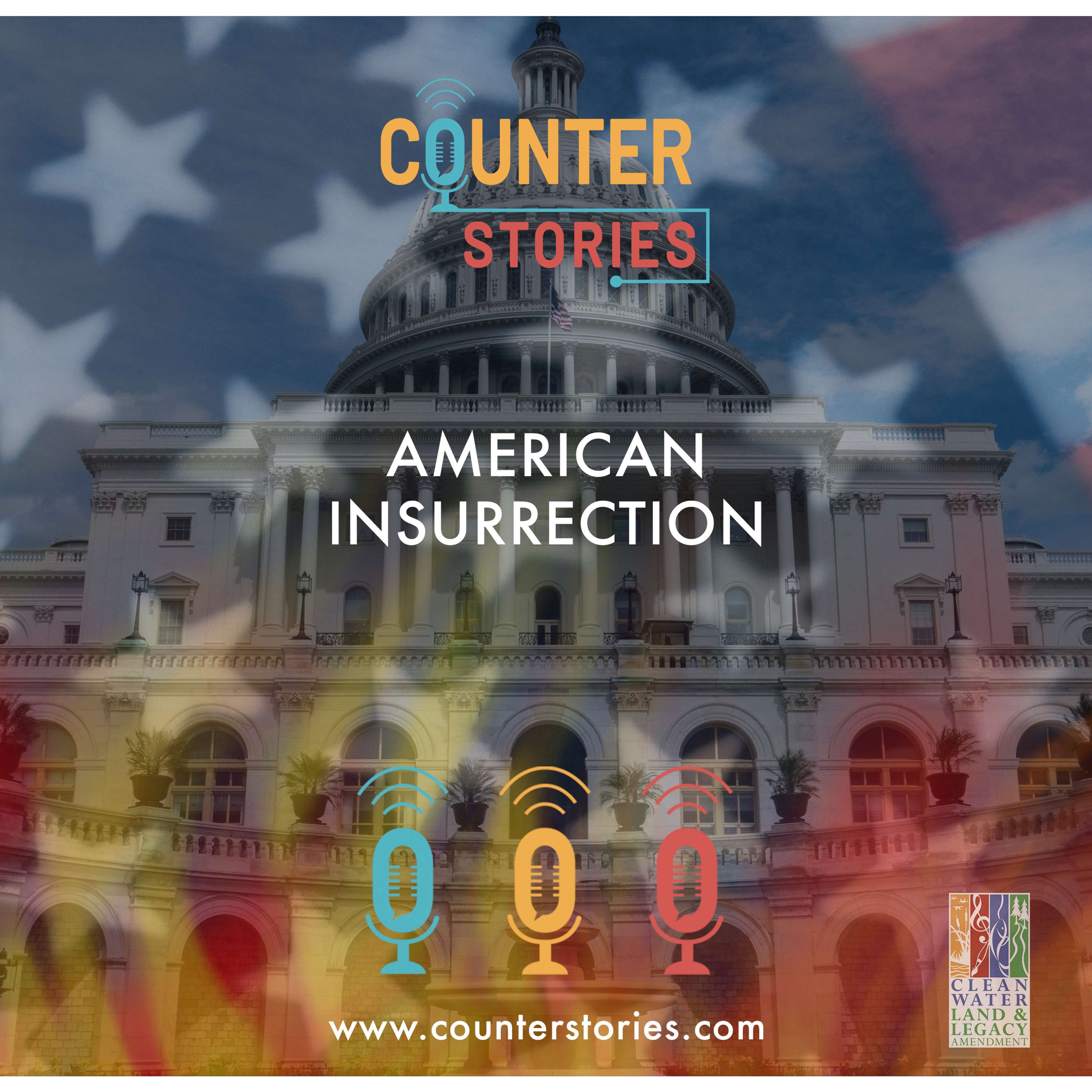 American Insurrection