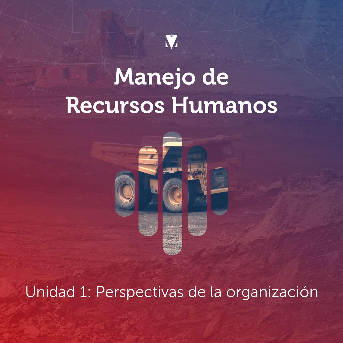 1 - MANEJO DE RECURSOS HUMANOS: Unidad 1 - Perspectivas de la organización