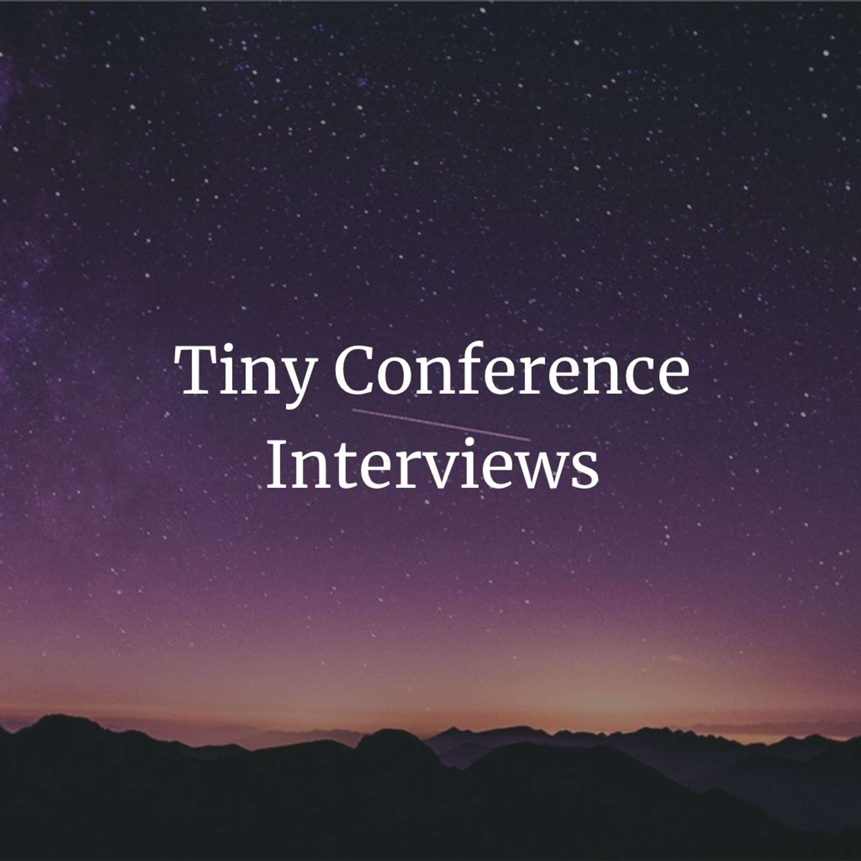 Tiny Conference Interviews