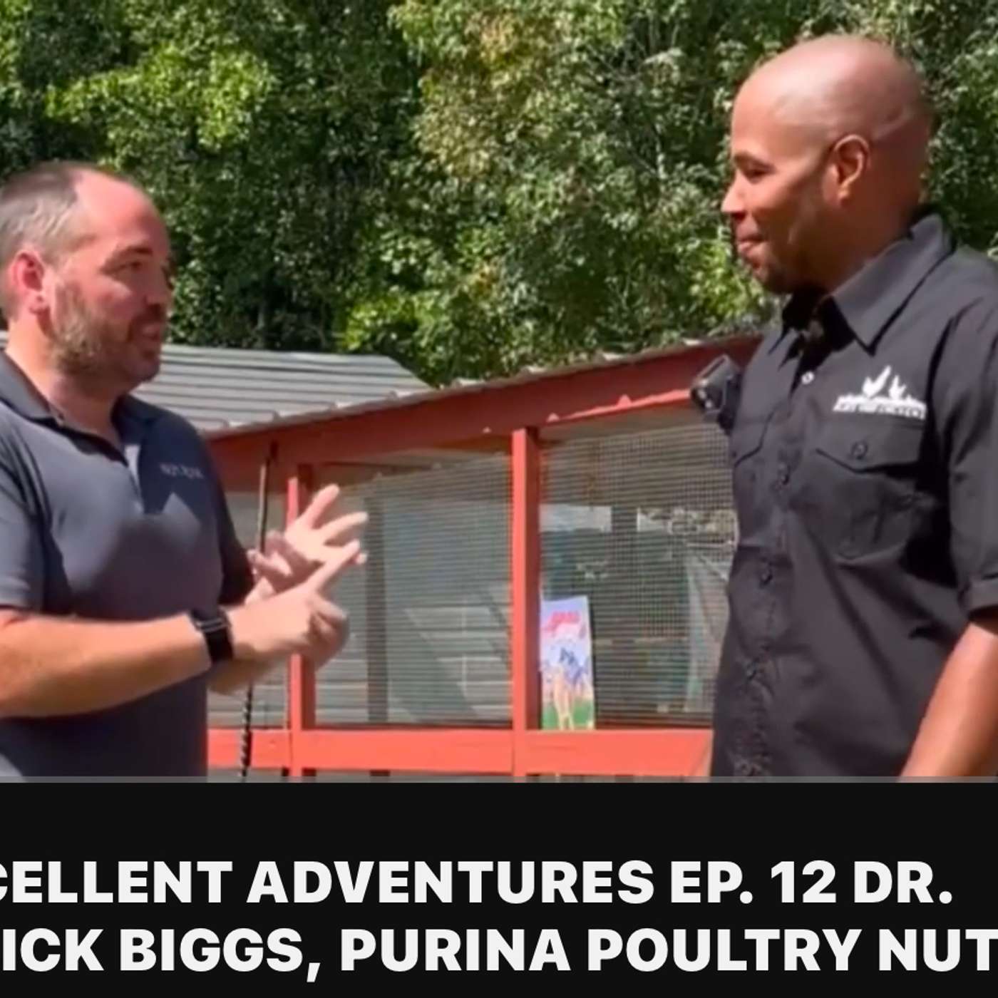 Ep. 50 - REWIND - Ft. Dr. Patrick Biggs @PurinaFeedGreatness Ep. 50 - REWIND - Ft. Dr. Patrick Biggs @PurinaFeedGreatness