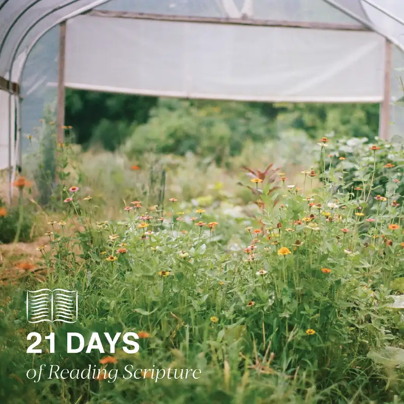 21 Days of Reading Scripture: Introduction to Colossians