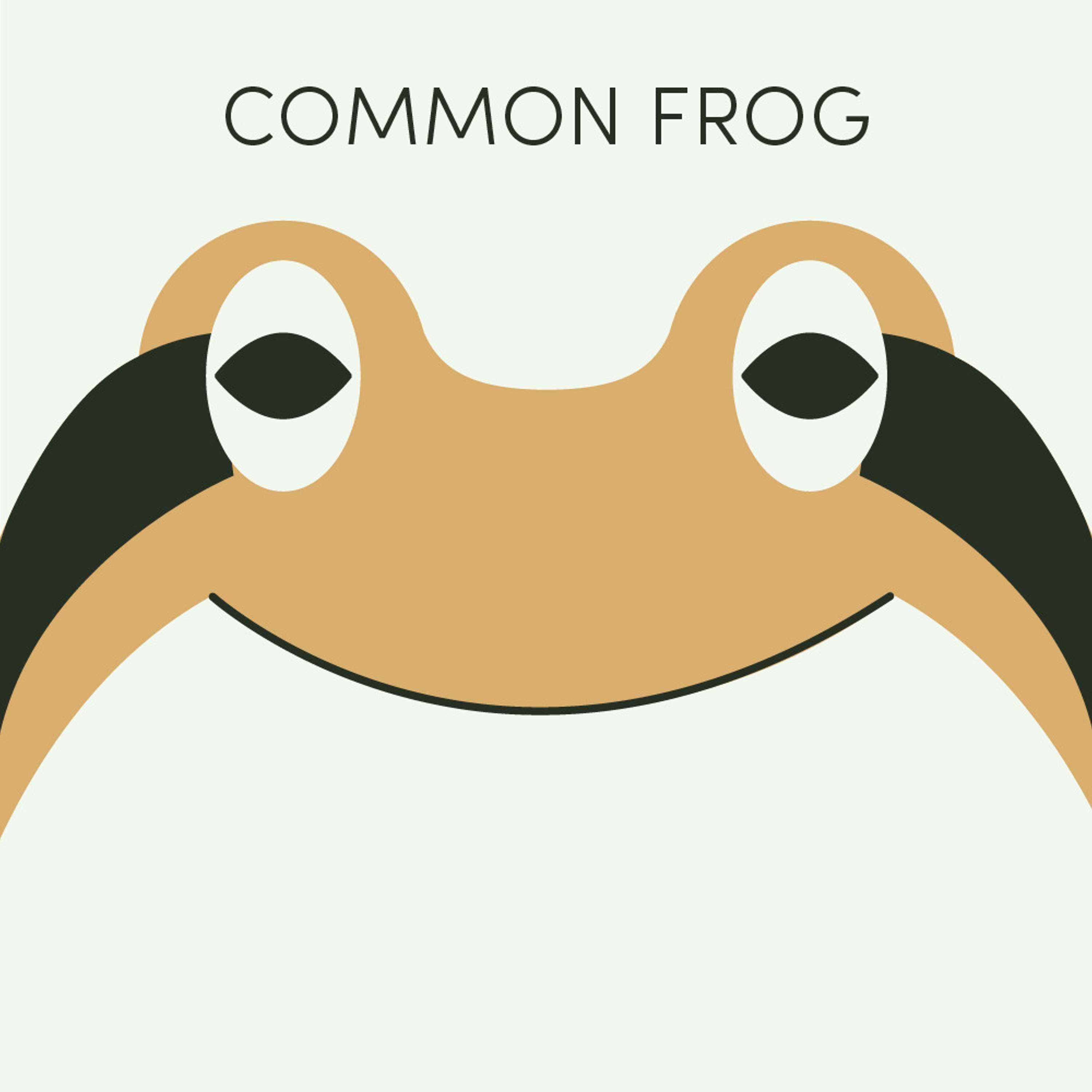 Common Frog | Week of May 2nd