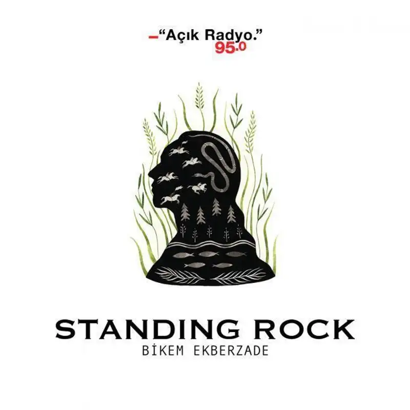 Standing Rock (Dikilen Kaya)