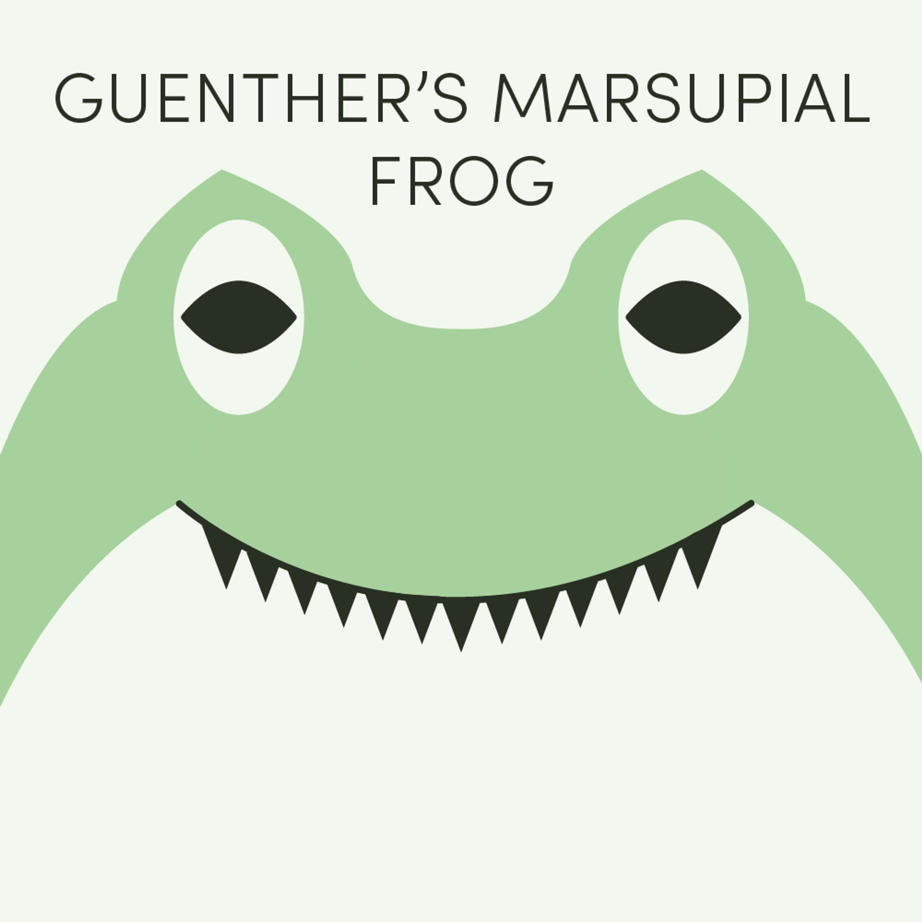 Guenther's Marsupial Frog | Week of September 16th