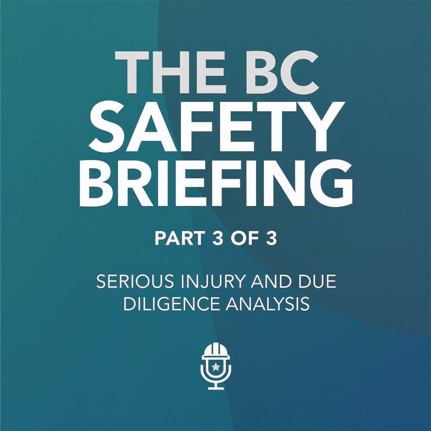 Part 3 of 3: Serious Injury and Due Diligence Analysis