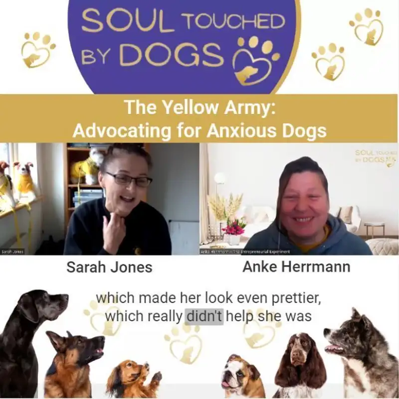 Sarah Jones - The Yellow Army: Advocating for Anxious Dogs
