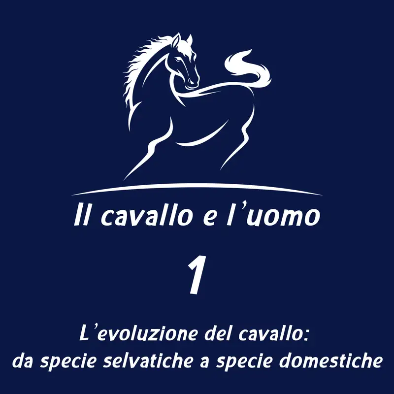 L’evoluzione del cavallo: da specie selvatiche a specie domestiche