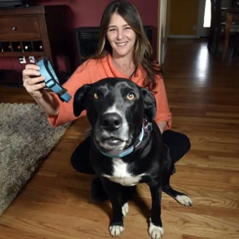 468 - Susan Sierota (Waggit) On Building a Health and Well-Being Monitor For Dogs 